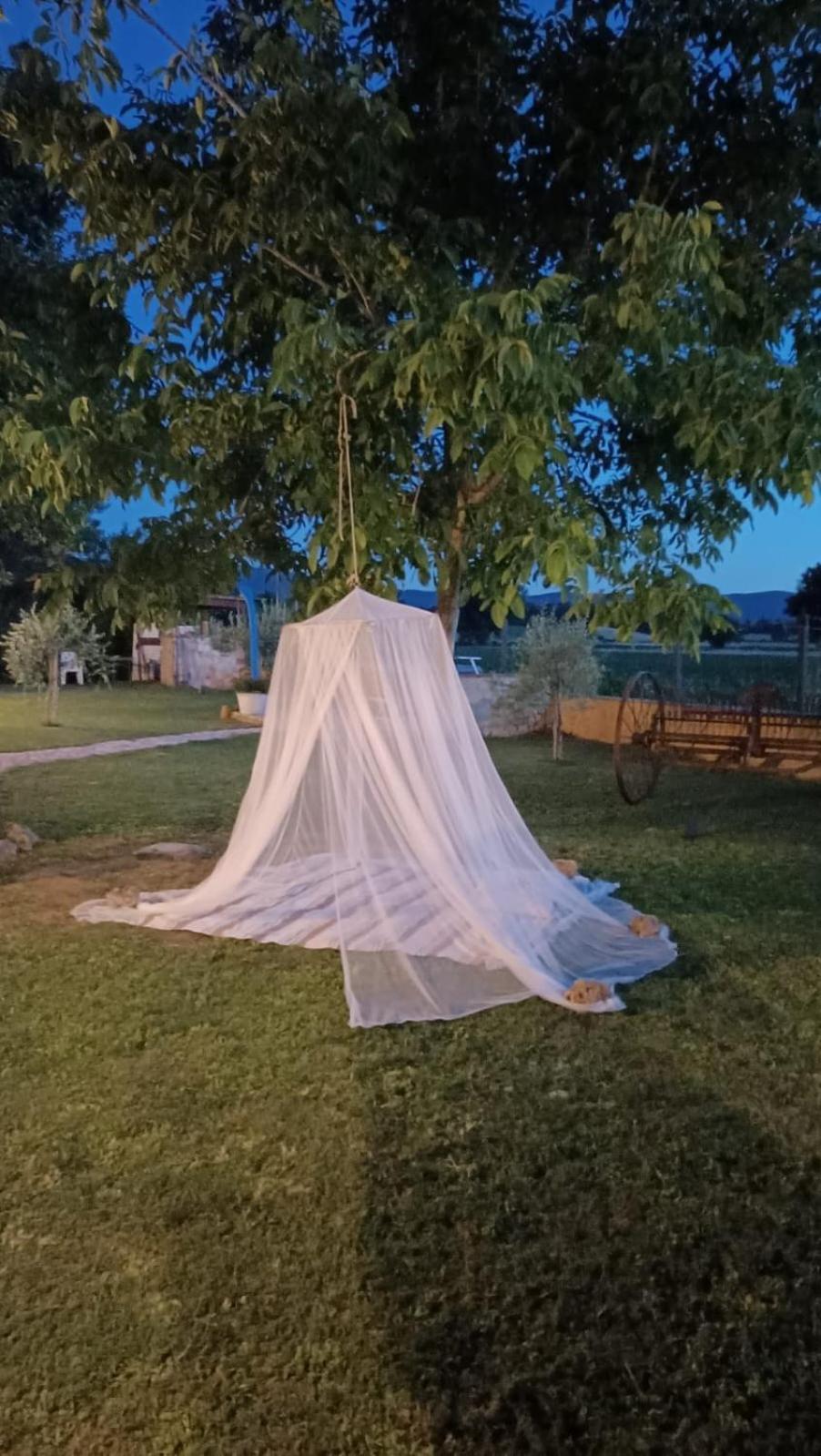 La Vecchia Stalla B&B Narni Eksteriør billede