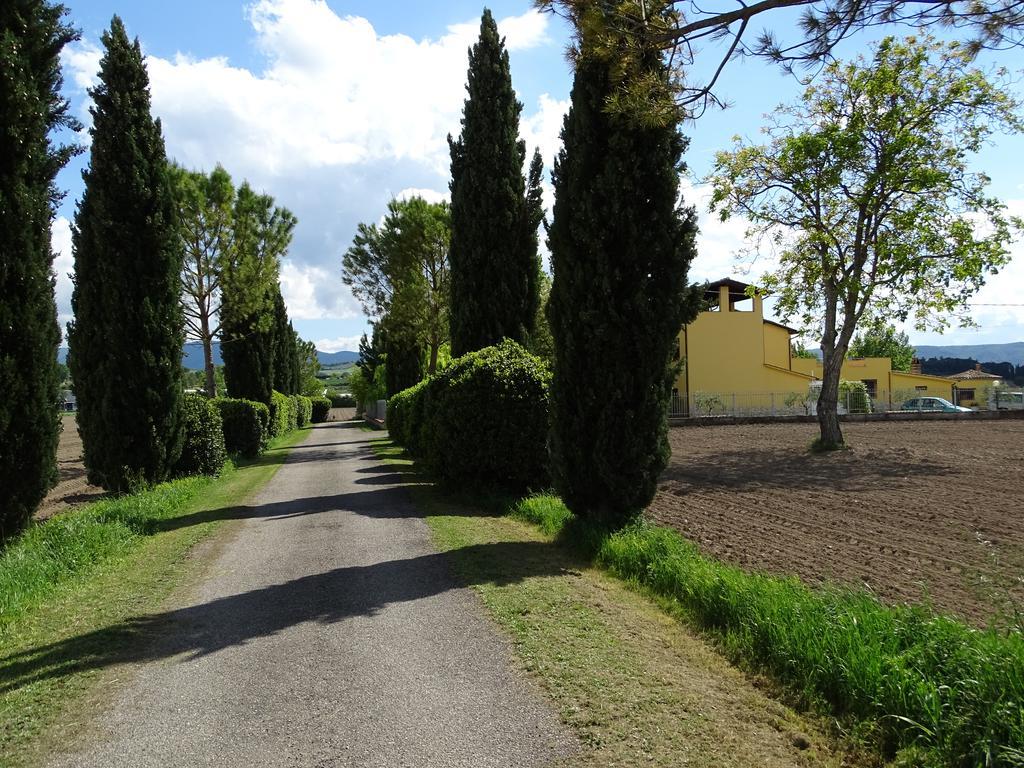 La Vecchia Stalla B&B Narni Eksteriør billede
