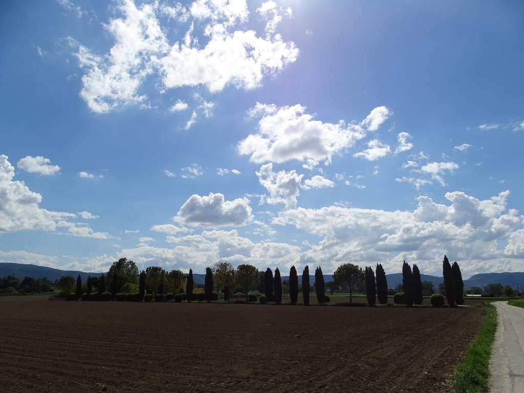 La Vecchia Stalla B&B Narni Eksteriør billede